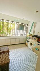 Cairnhill Plaza (D9), Apartment #381323921